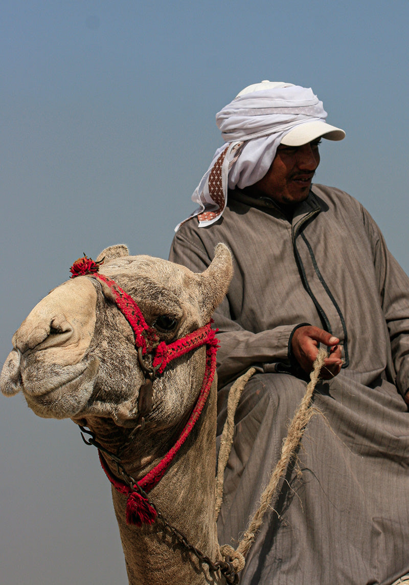 A MAN AND HIS CAMEL