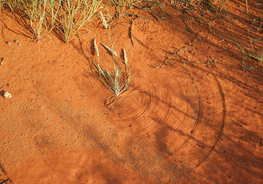 CERCLES DANS LE SABLE