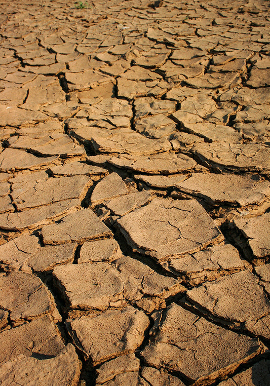 Fissures du Kalahari