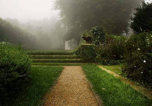 JARDIN Brumeux