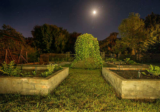 MOON GARDEN