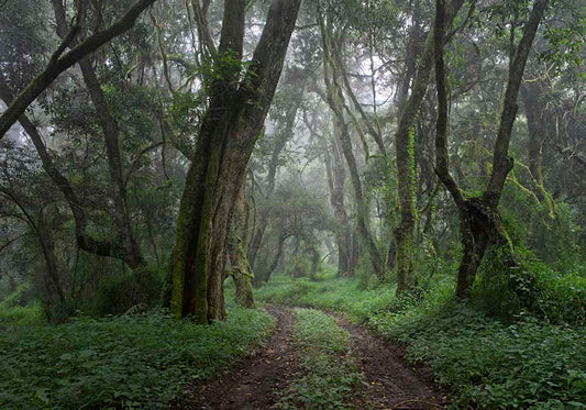 STRADA DEL MISTERO