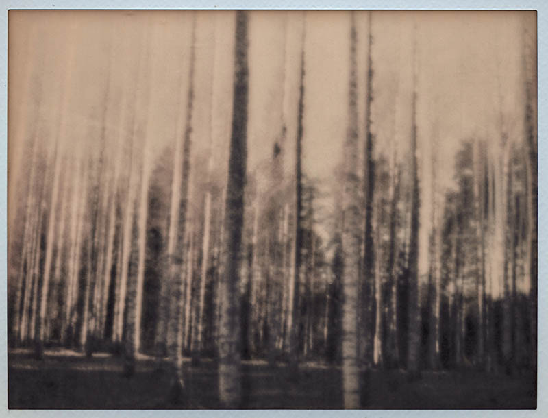 PINHOLE#5