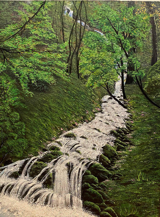 RIVER IN THE FOREST