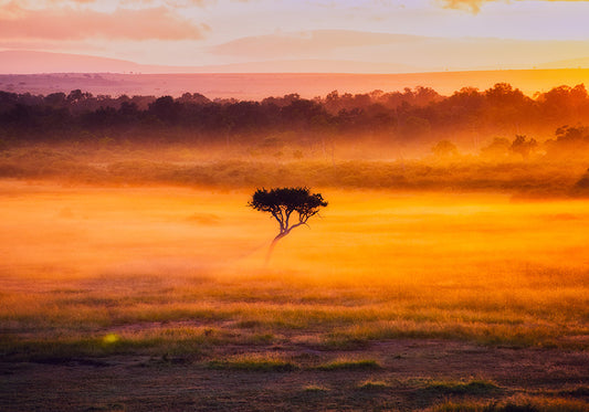 TRAMONTO IN KENYA