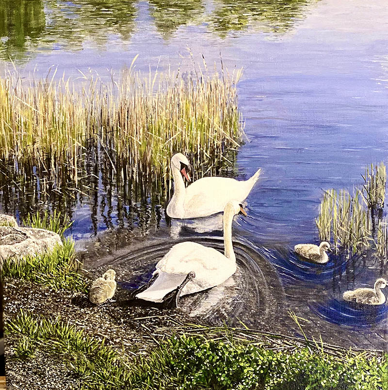 SWAN PARENTS